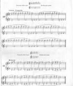 Beyer es. n.10 e 11