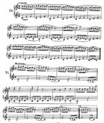 Esercizi n.50 e 51